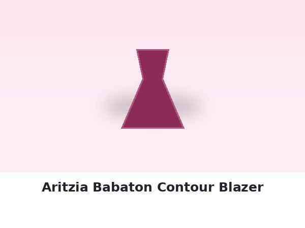 Aritzia Babaton Contour Blazer