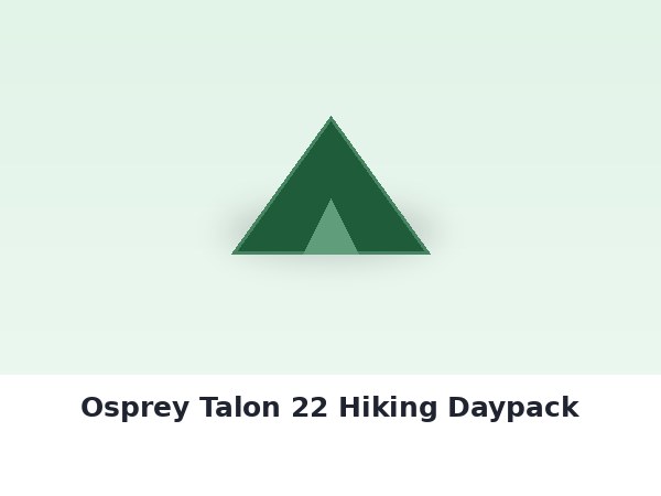 Osprey Talon 22 Hiking Daypack