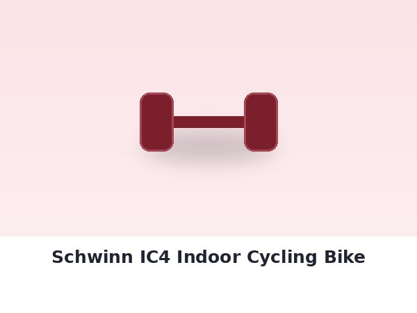 Schwinn IC4 Indoor Cycling Bike