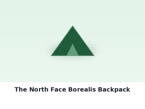 The North Face Borealis Backpack